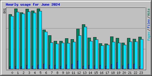 Hourly usage for June 2024