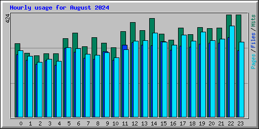 Hourly usage for August 2024