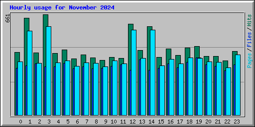 Hourly usage for November 2024