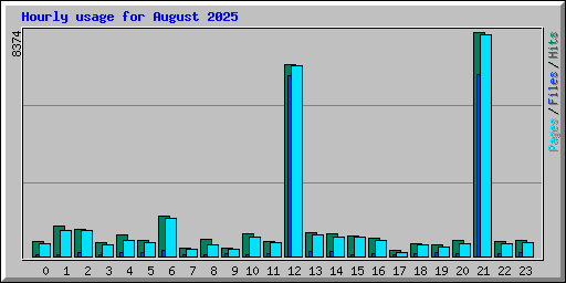 Hourly usage for August 2025