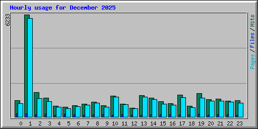 Hourly usage for December 2025