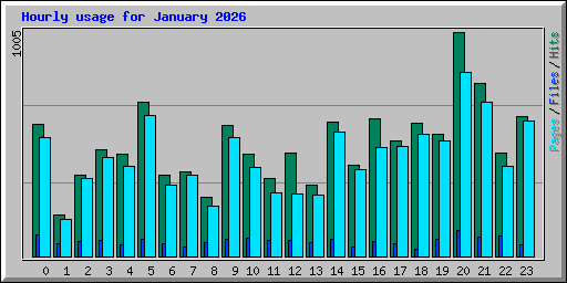 Hourly usage for January 2026