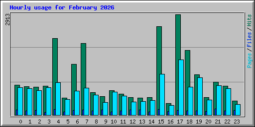 Hourly usage for February 2026