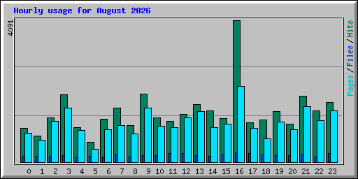 Hourly usage for August 2026