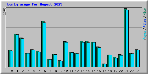 Hourly usage for August 2025