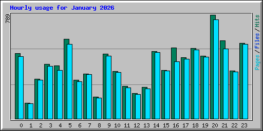 Hourly usage for January 2026
