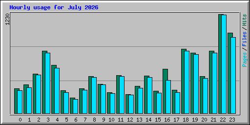 Hourly usage for July 2026