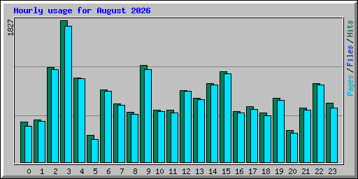 Hourly usage for August 2026